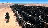 Filename=retour_promo_043.gif
Filesize=64KB
Dimensions=370x220
Date added=Aug 02, 2007 retour_promo_043.gif