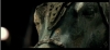 Filename=mummy3-BA01_019.jpg
Filesize=135KB
Dimensions=730x336
Date added=May 16, 2008 mummy3-BA01_019.jpg
