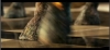 Filename=mummy3-BA01_020.jpg
Filesize=148KB
Dimensions=730x336
Date added=May 16, 2008 mummy3-BA01_020.jpg