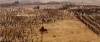 Filename=themummy3-BA02_040.jpg
Filesize=604KB
Dimensions=1281x547
Date added=Jun 24, 2008 themummy3-BA02_040.jpg