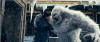 Filename=themummy3-BA02_066.jpg
Filesize=512KB
Dimensions=1281x547
Date added=Jun 24, 2008 themummy3-BA02_066.jpg