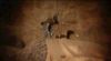 Filename=video2__(42).jpg
Filesize=93KB
Dimensions=478x267
Date added=Oct 07, 2007 video2__(42).jpg