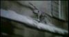 Filename=BA-fr_028.jpg
Filesize=85KB
Dimensions=426x233
Date added=May 19, 2007 BA-fr_028.jpg