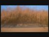Filename=PDVD_091.jpg
Filesize=37KB
Dimensions=768x576
Date added=Nov 04, 2006 PDVD_091.jpg